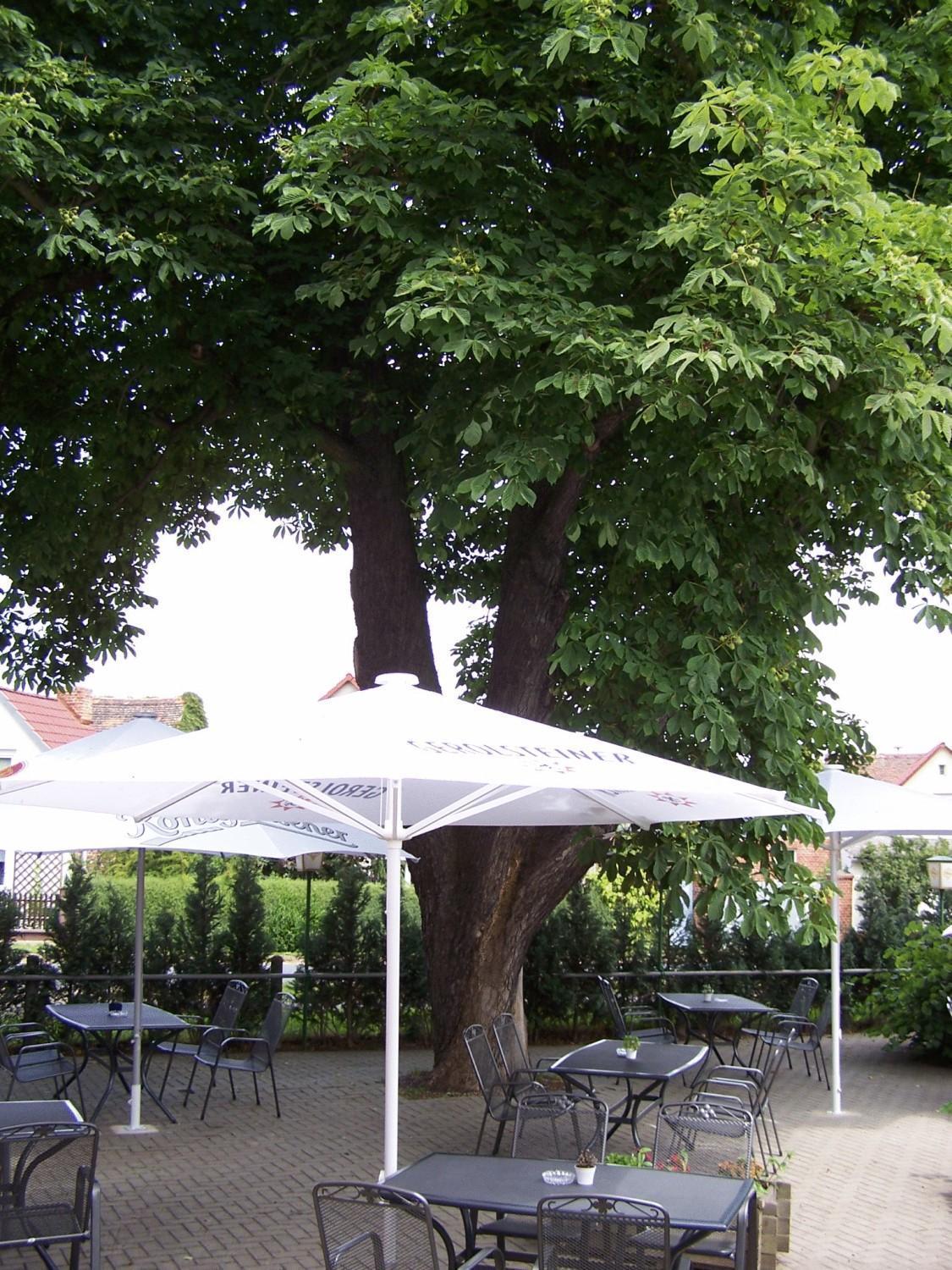 Hotel Glindenberger Hof 外观 照片